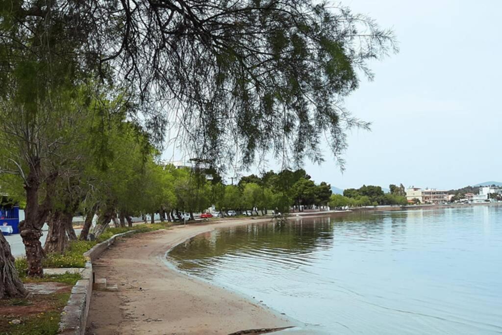 Πολυτελές Διαμέρισμα 3 Χαλκίδα-Παραλία Αυλίδος Paralia Avlidhos Exterior photo