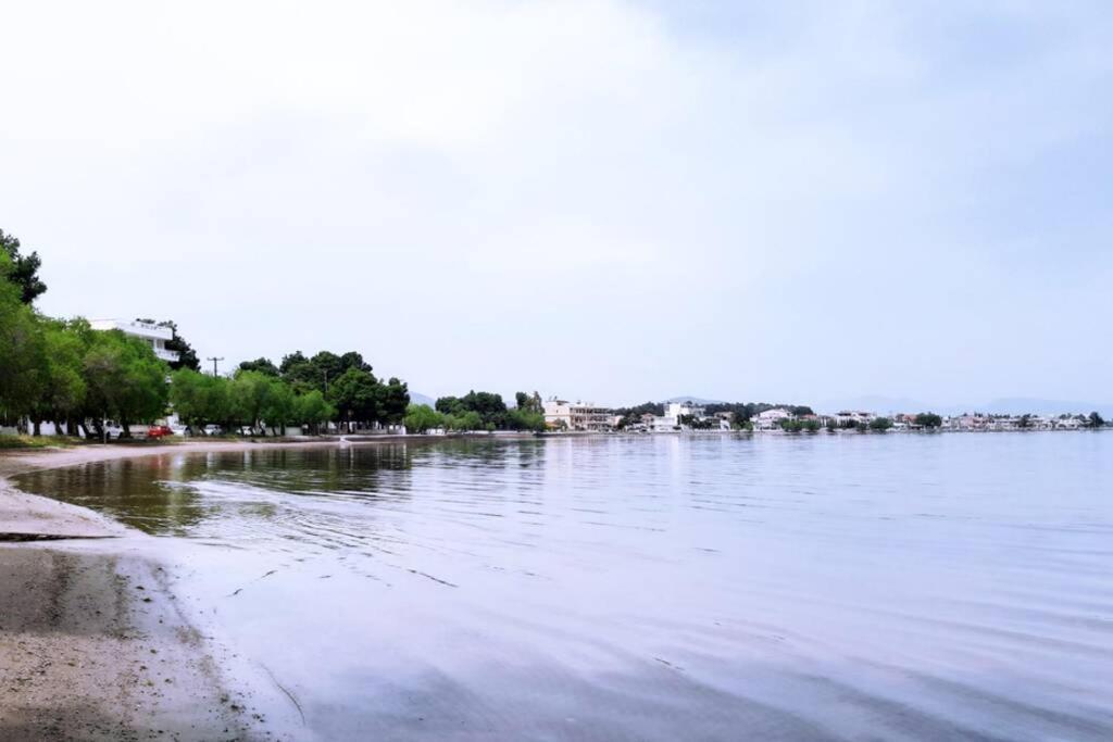 Πολυτελές Διαμέρισμα 3 Χαλκίδα-Παραλία Αυλίδος Paralia Avlidhos Exterior photo